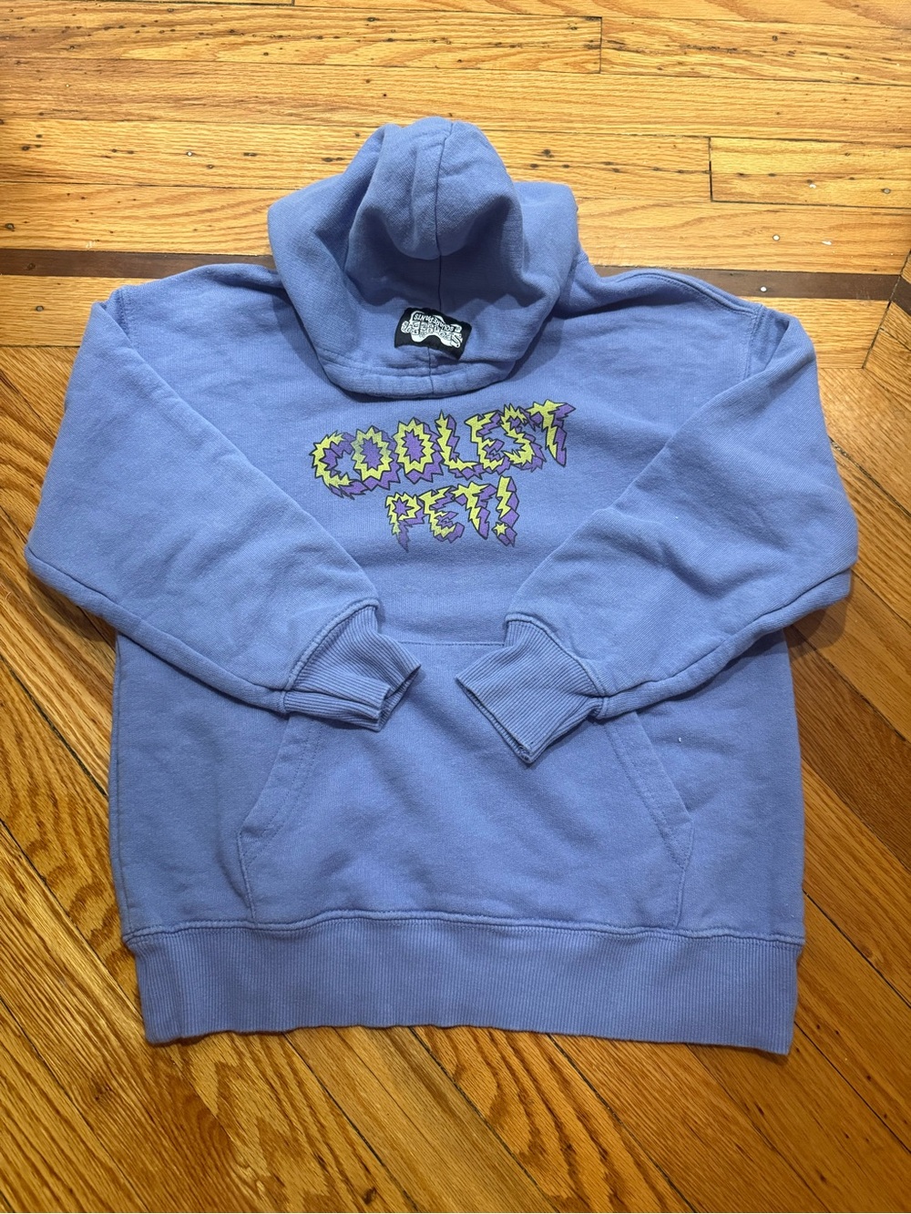 Zara Sponge Bob Kids Lavender "Coolest Pet" Graphic Hoodie size 9-10